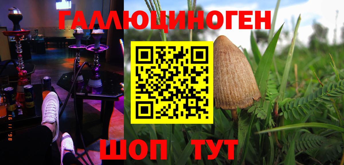 Нурлат  Псилоцибиновые грибы Psilocybine cubensis  Галлюциногенные грибы Psilocybe  Вход с VPN 